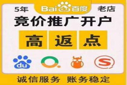 推广竞价策略优化：借鉴成功案例实现精准营销
